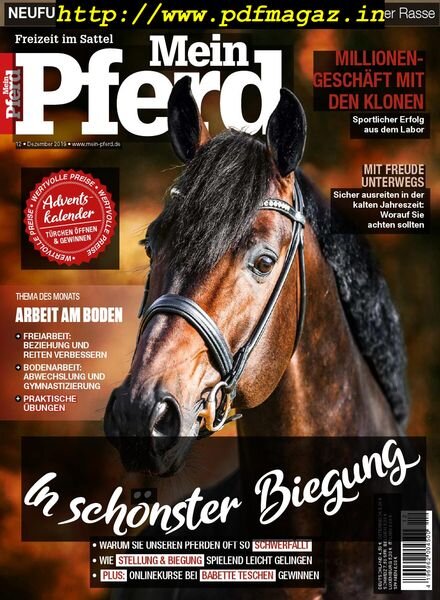 Mein Pferd – November 2019 Cover