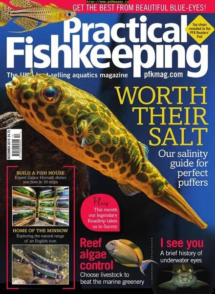 Practical Fishkeeping – December 2019 Cover
