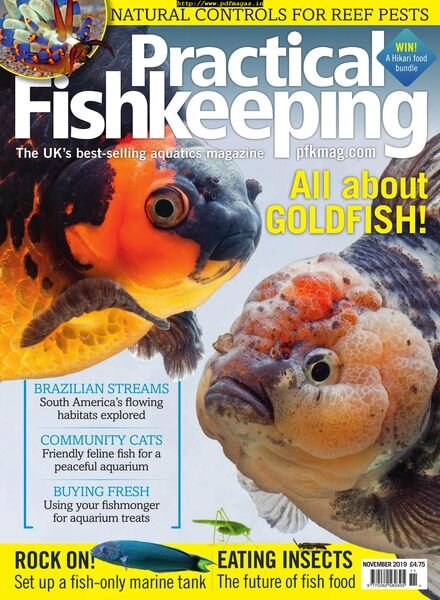 Practical Fishkeeping – November 2019 Cover