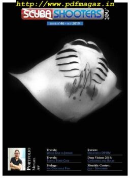 Scubashooters – November 2019