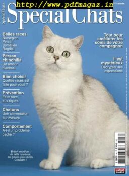 Special Chats – octobre 2019
