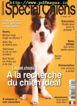 Special Chiens – octobre 2019