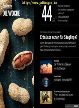 Spektrum Die Woche – 01 November 2019