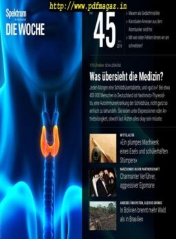 Spektrum Die Woche – 08 November 2019