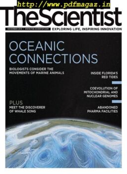The Scientist – November 2019
