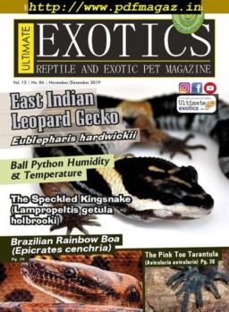 Ultimate Exotics – November-December 2019