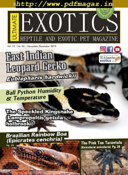 Ultimate Exotics – November-December 2019 Cover