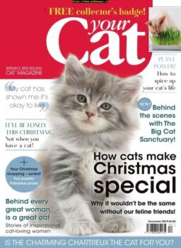Your Cat – December 2019