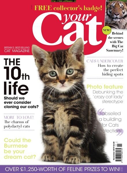 Your Cat – November 2019 Cover