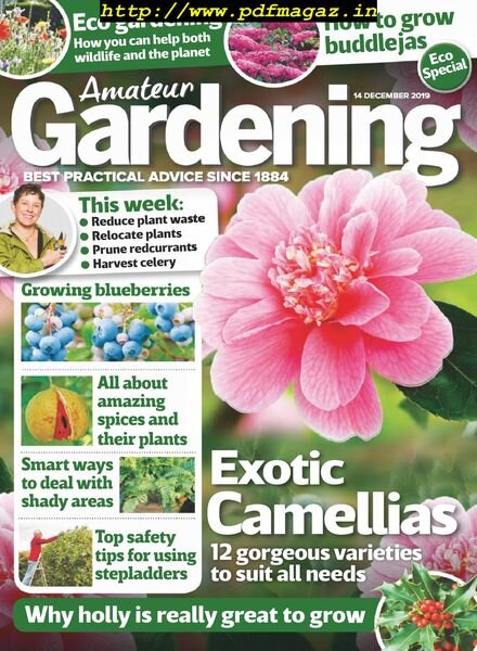 Amateur Gardening – 14 December 2019 Cover
