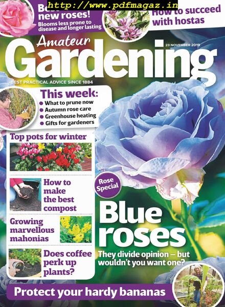 Amateur Gardening – 23 November 2019 Cover