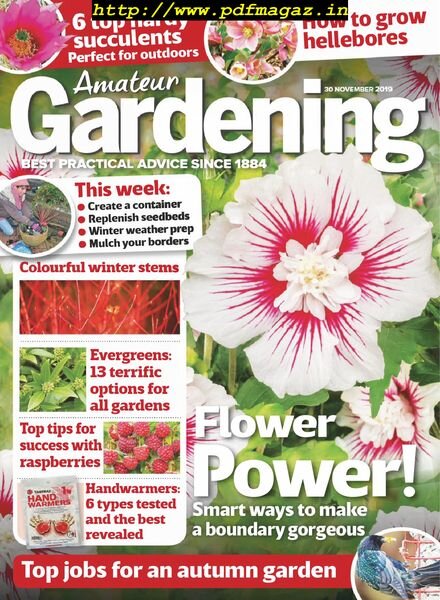Amateur Gardening – 30 November 2019 Cover