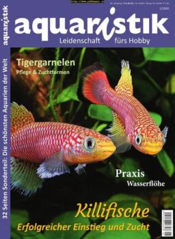 Aquaristik – Dezember 2019