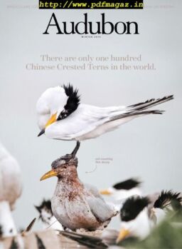 Audubon Magazine – December 2019