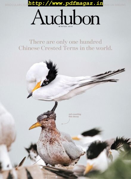 Audubon Magazine – December 2019 Cover