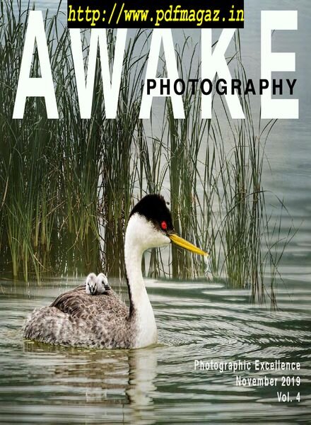 Awake Photography – November 2019 Cover