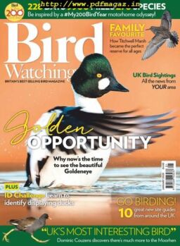 Bird Watching UK – January 2020