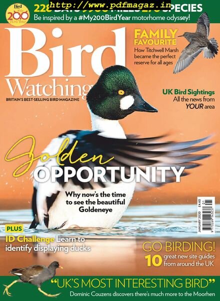 Bird Watching UK – January 2020 Cover