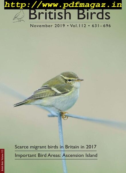 British Birds – November 2019 Cover
