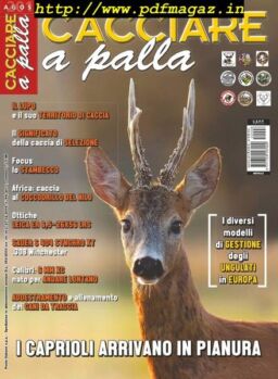 Cacciare a Palla – Agosto 2015