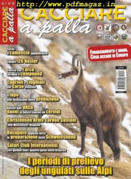 Cacciare a Palla – Giugno 2015