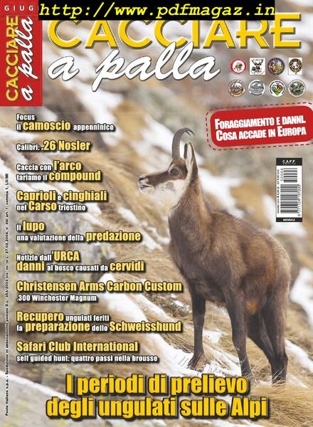 Cacciare a Palla – Giugno 2015 Cover