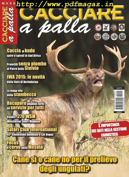 Cacciare a Palla – Maggio 2015 Cover
