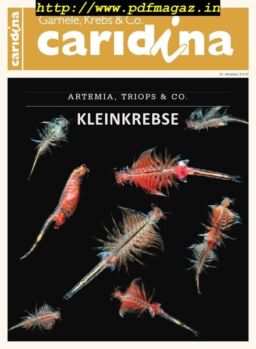 Caridina – Nr.4, 2019
