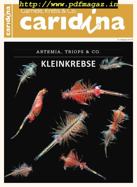 Caridina – Nr.4, 2019 Cover