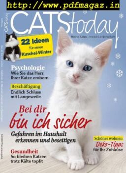 Cats Today – November 2019