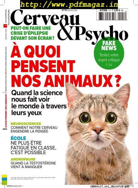 Cerveau & Psycho – janvier 2020 Cover