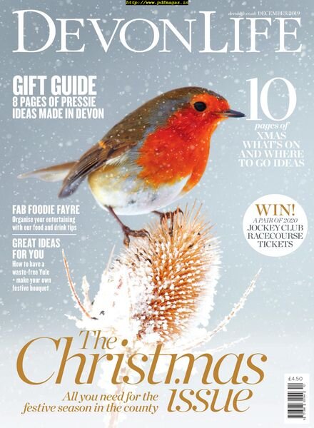Devon Life – December 2019 Cover