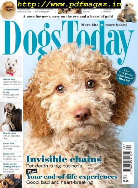 Dogs Today UK – June 2019 Cover