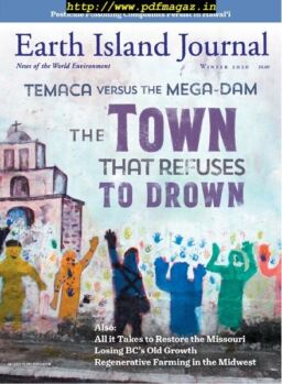 Earth Island Journal – November 2019