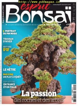 Esprit Bonsai – decembre 2019
