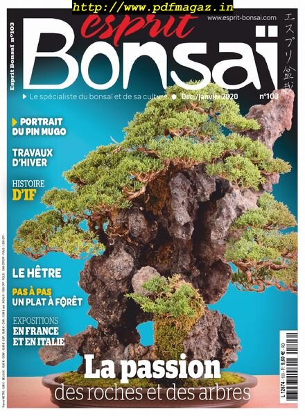 Esprit Bonsai – decembre 2019 Cover