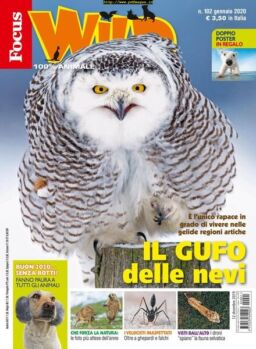 Focus Wild – febbraio 2020