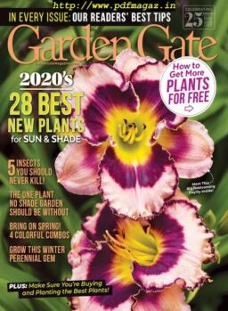 Garden Gate – January 2020