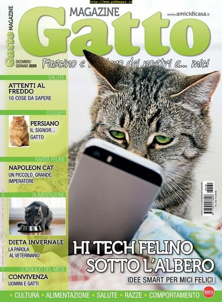 Gatto Magazine – dicembre 2019 Cover