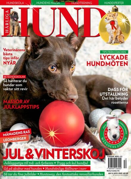 Harliga Hund – 27 november 2019 Cover