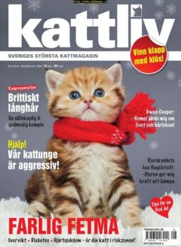 Kattliv – 26 november 2019