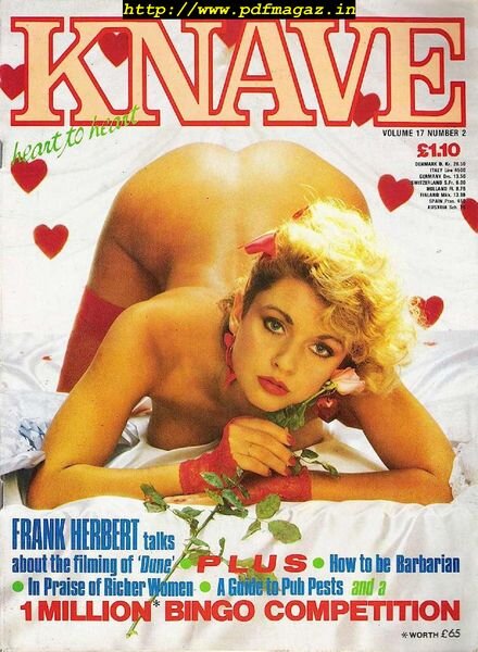 Knave – Volume 17 N 2, February 1985 Cover