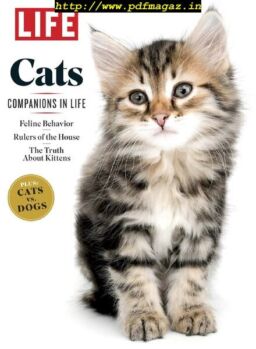 LIFE – Cats 2019