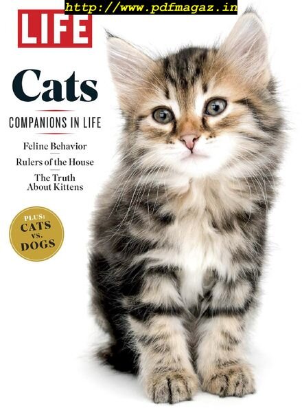LIFE – Cats 2019 Cover