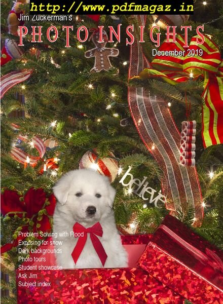 Photo Insights – December 2019 Cover