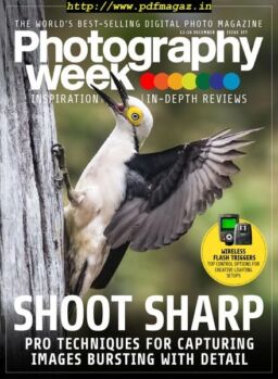 Photography Week – 12 December 2019