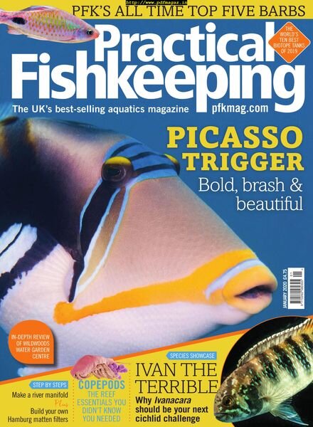 Practical Fishkeeping – January 2020 Cover
