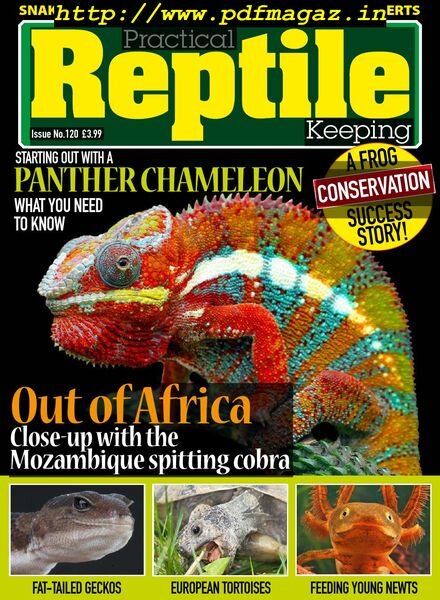 Practical Reptile Keeping – Issue 120 – December 2019 Cover