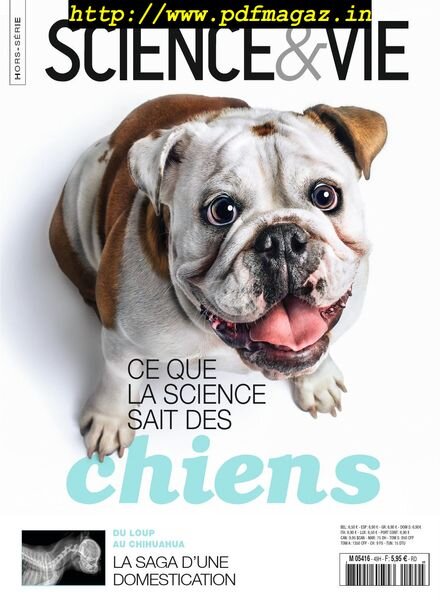 Science & vie – Hors-Serie Special – novembre 2019 Cover