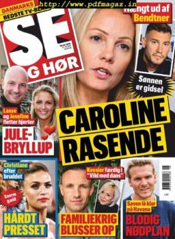 SE og HOR – 13 november 2019